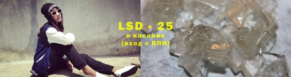 стафф Корсаков