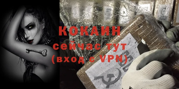 стафф Корсаков