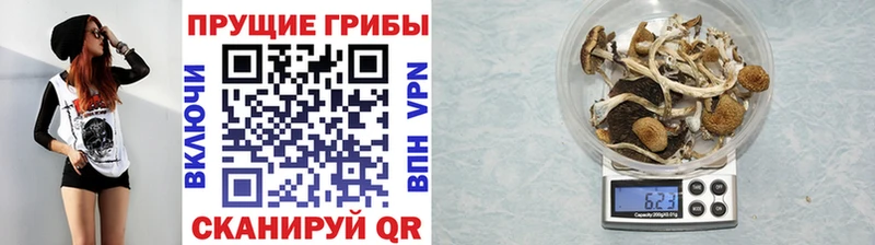 Псилоцибиновые грибы MAGIC MUSHROOMS  Астрахань 